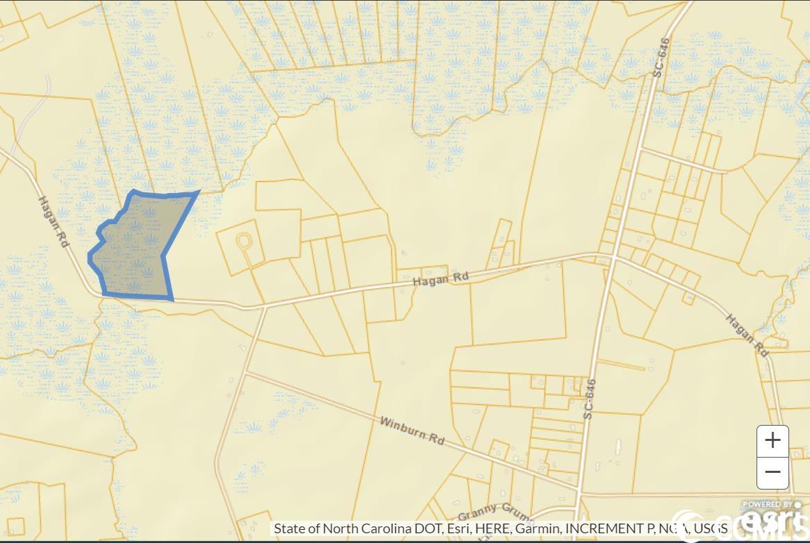 160 Hagan Road Loris, SC 29569 - Photo 3 of 9 Gallery Image 3