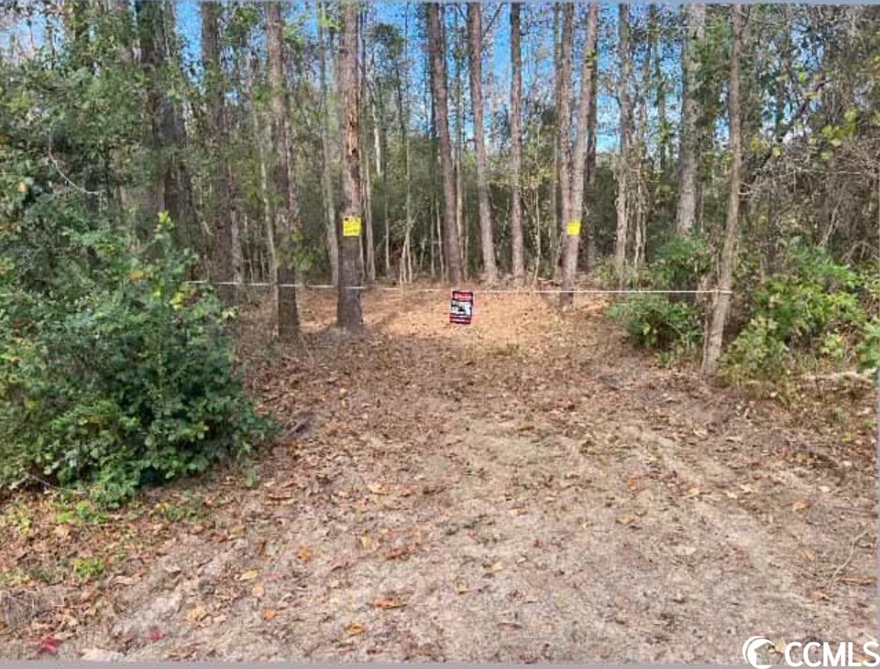 160 Hagan Road Loris, SC 29569 - Photo 5 of 9 Gallery Image 5