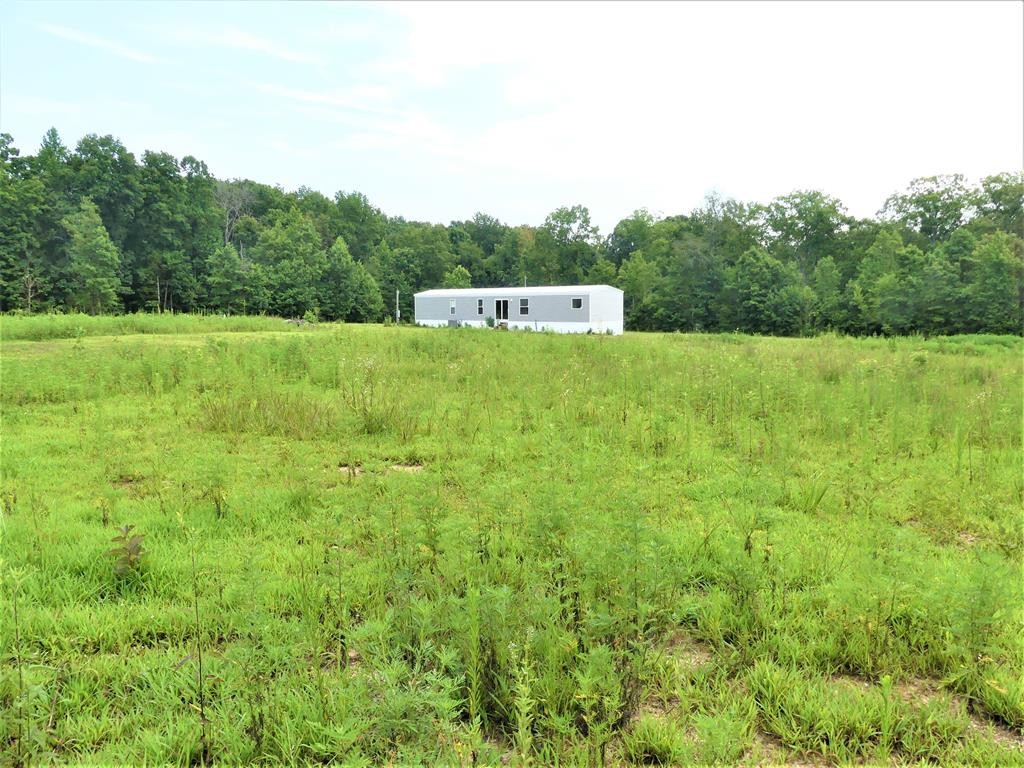211 Cottonport Ferry Road Decatur, TN 37322 - Photo 1 of 41 a view of a green field with plants