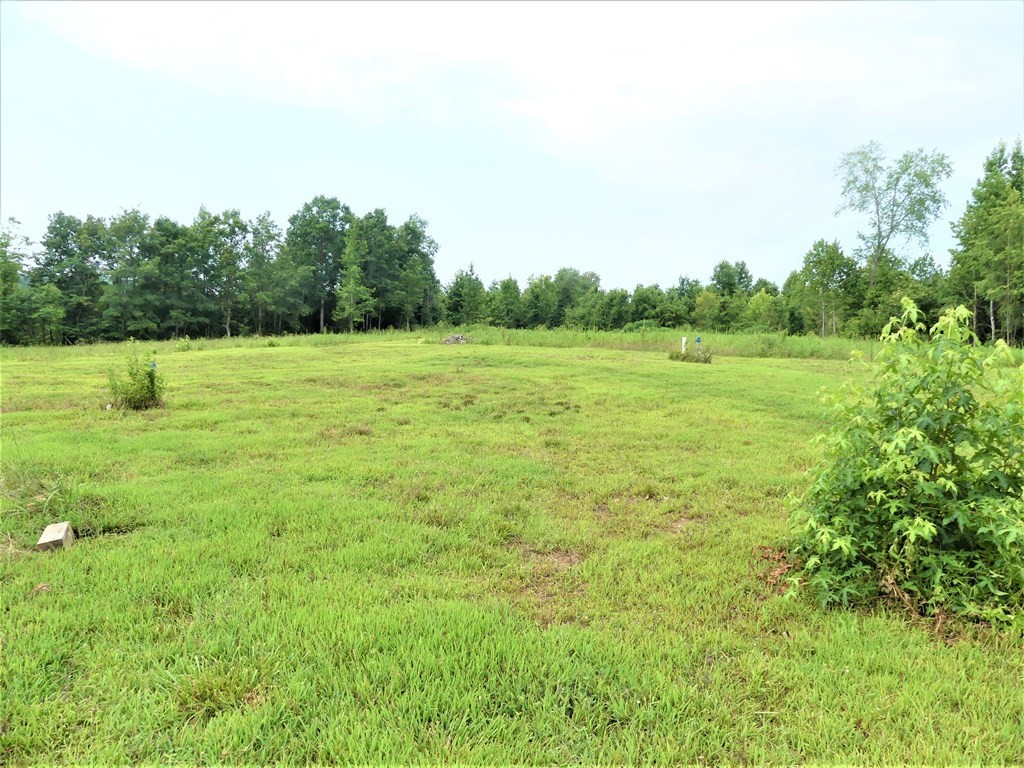 211 Cottonport Ferry Road Decatur, TN 37322 - Photo 24 of 41 a view of an outdoor space and a yard