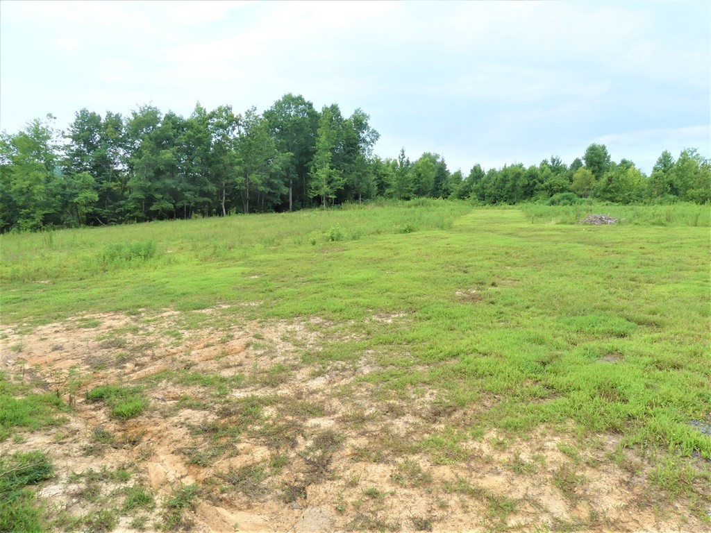 211 Cottonport Ferry Road Decatur, TN 37322 - Photo 26 of 41 a view of a field with a trees in the background