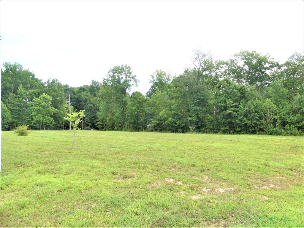 211 Cottonport Ferry Road Decatur, TN 37322 - Photo 27 of 41 a view of an ocean from a yard