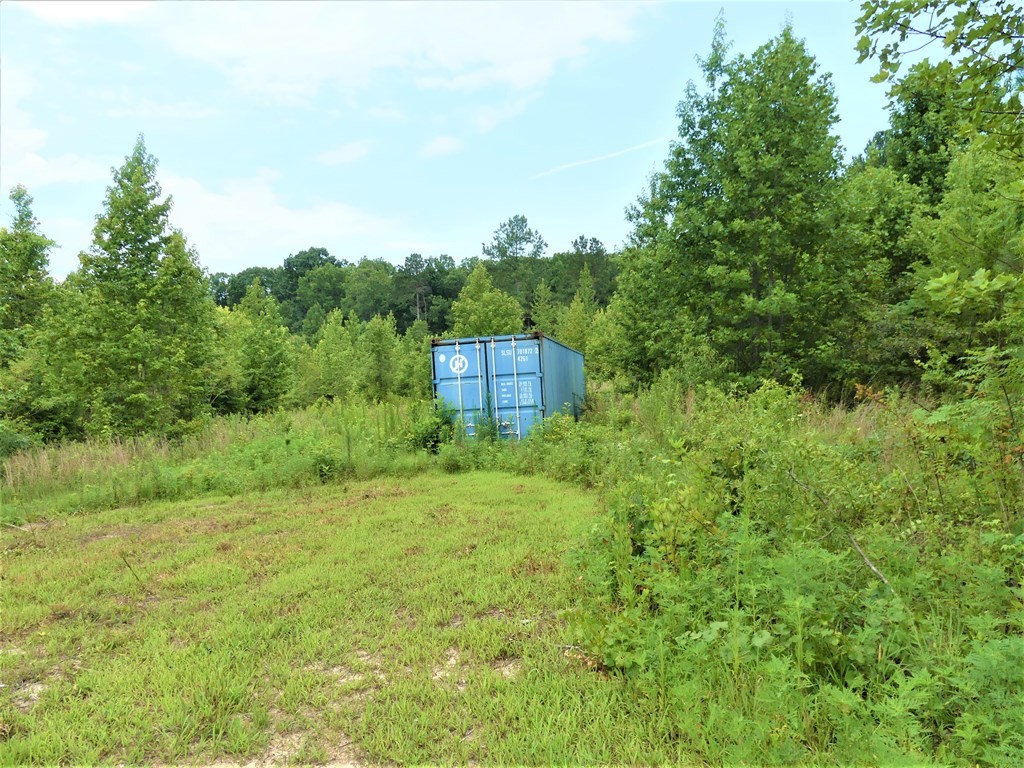 211 Cottonport Ferry Road Decatur, TN 37322 - Photo 28 of 41 a view of a back yard