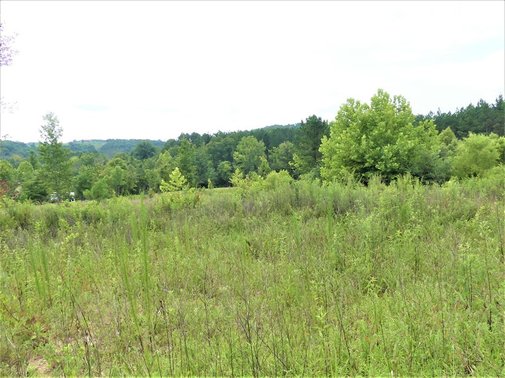 211 Cottonport Ferry Road Decatur, TN 37322 - Photo 31 of 41 a view of a lush green space with sea