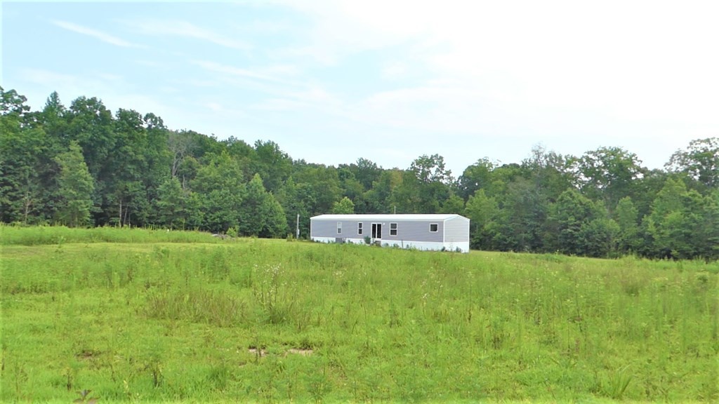 211 Cottonport Ferry Road Decatur, TN 37322 - Photo 33 of 41 a view of a big yard with large trees