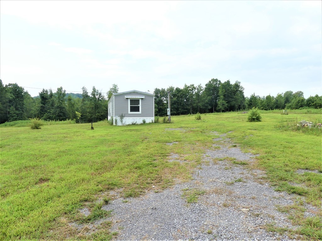 211 Cottonport Ferry Road Decatur, TN 37322 - Photo 34 of 41 a view of a big yard with an trees