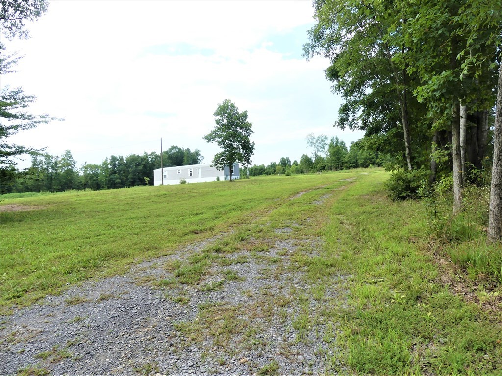 211 Cottonport Ferry Road Decatur, TN 37322 - Photo 38 of 41 a view of a grassy field with trees