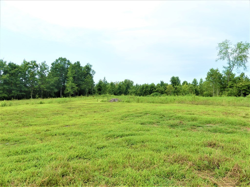 211 Cottonport Ferry Road Decatur, TN 37322 - Photo 4 of 41 a view of a grassy field with trees