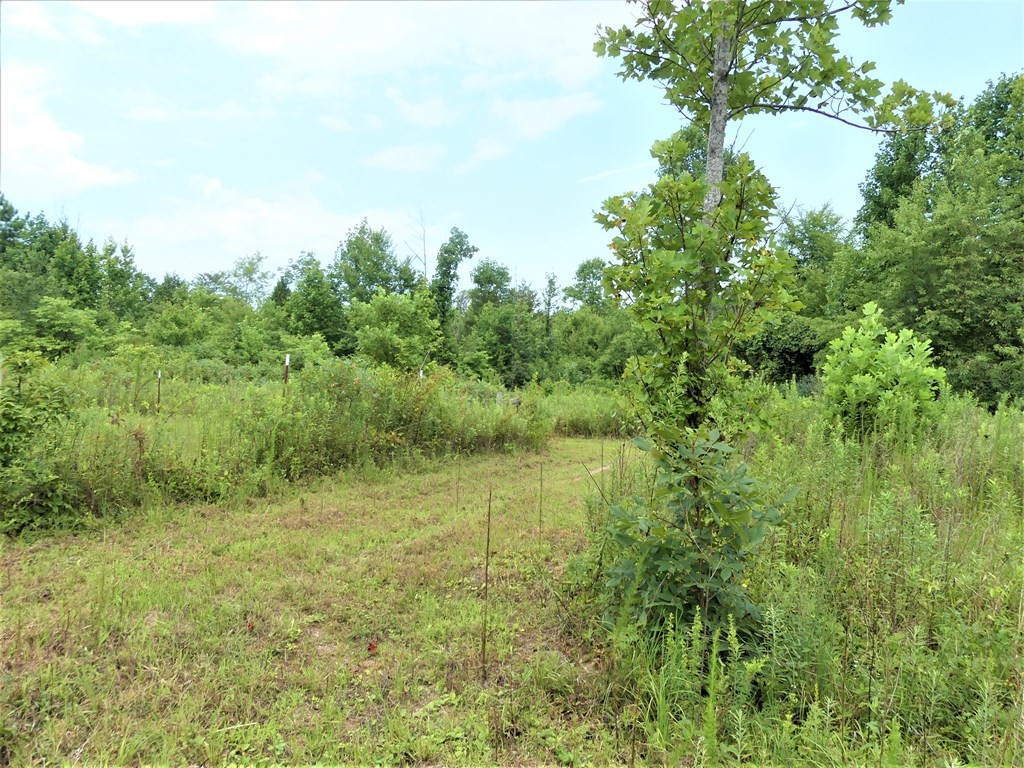 211 Cottonport Ferry Road Decatur, TN 37322 - Photo 6 of 41 a view of a lush green space