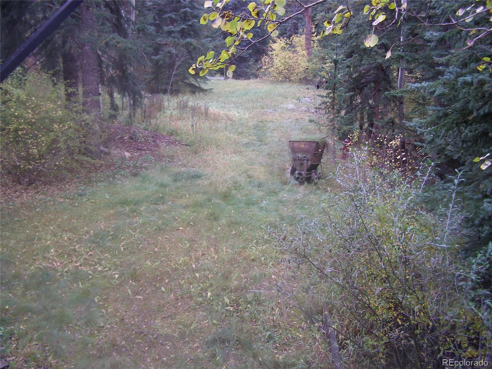 1077 Fall River Road Idaho Springs, CO 80452 - Photo 7 of 25 Gallery Image 7