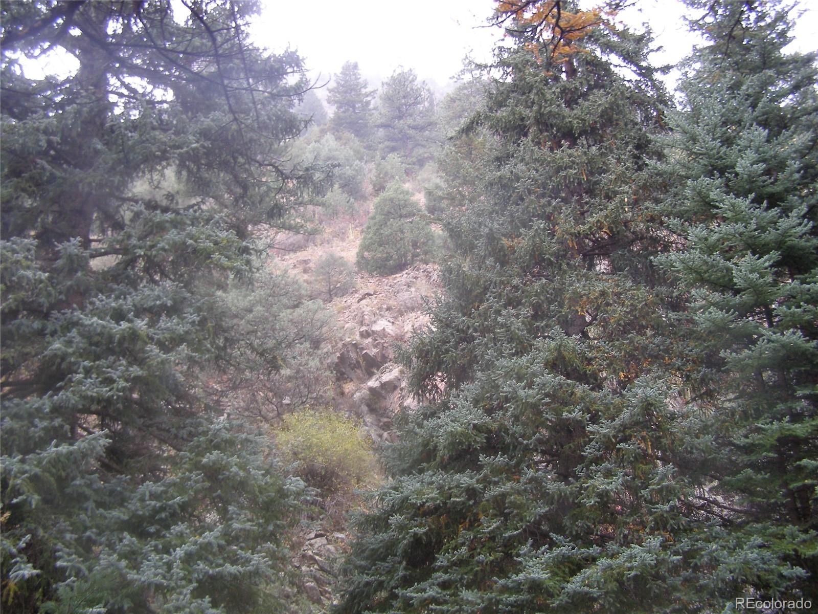 1077 Fall River Road Idaho Springs, CO 80452 - Photo 8 of 25 Gallery Image 8