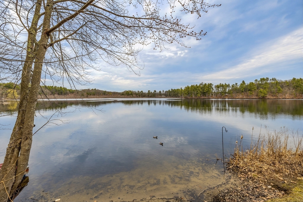 25 Whitney Pond Road Groton, MA 01450 - Photo 41 of 42