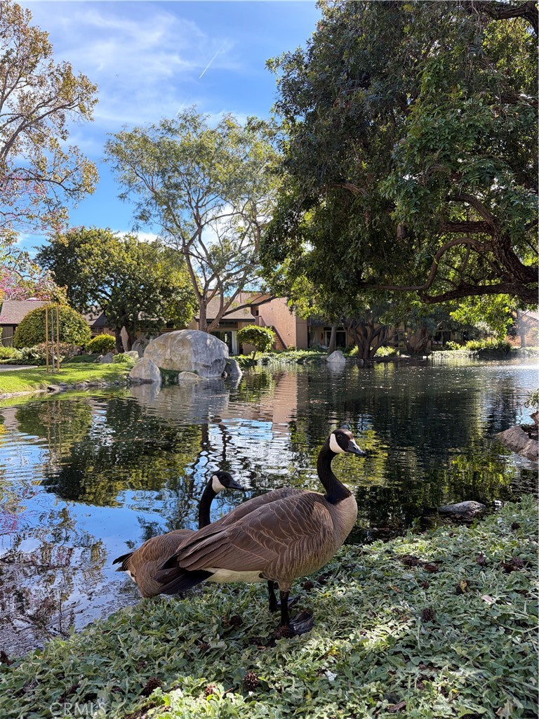 7890 East Spring Street, Unit 4O Long Beach, CA 90815 - Photo 36 of 37