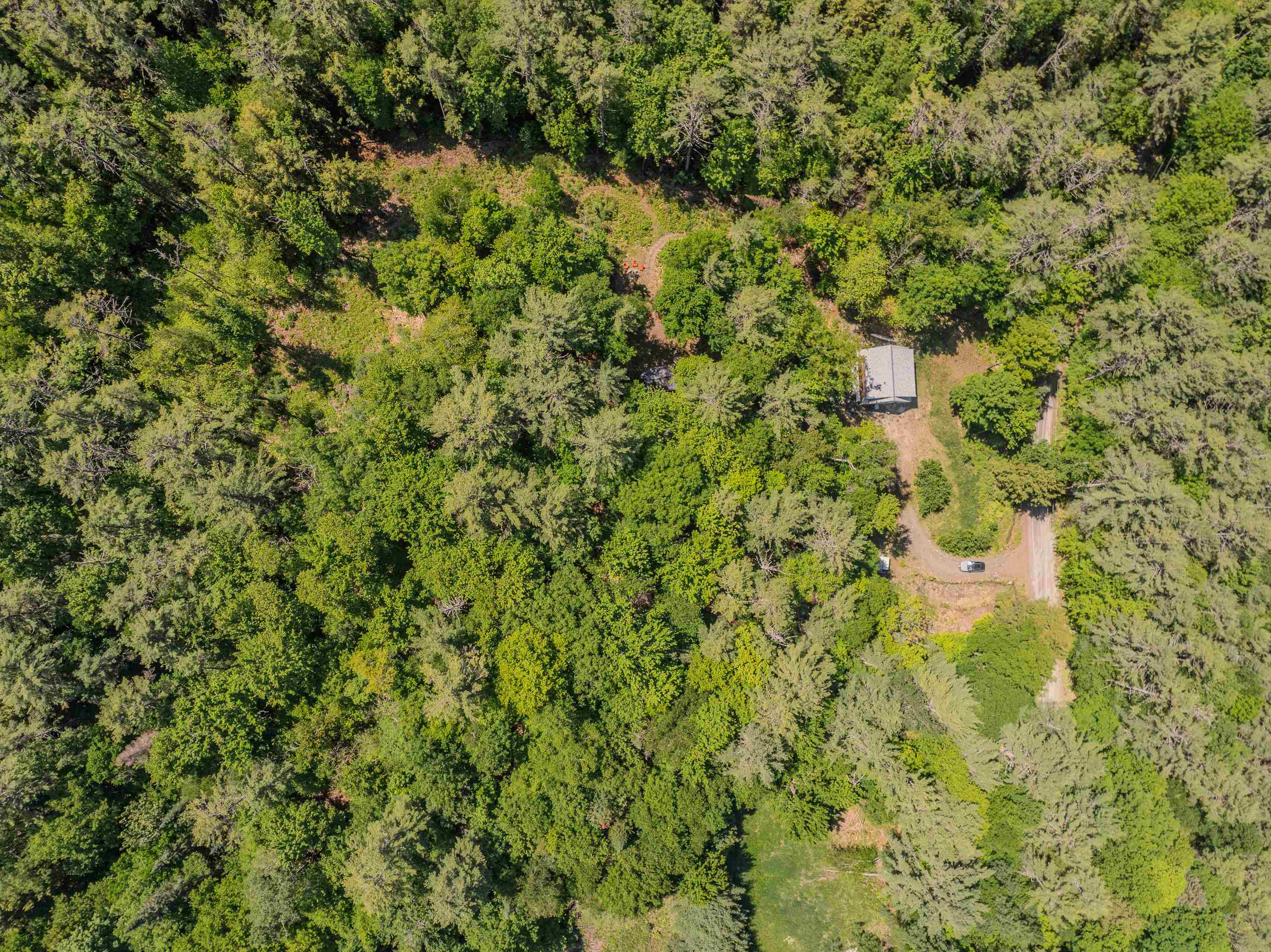 64 Beaver Pond Road Lyman, NH 03585 - Photo 38 of 39
