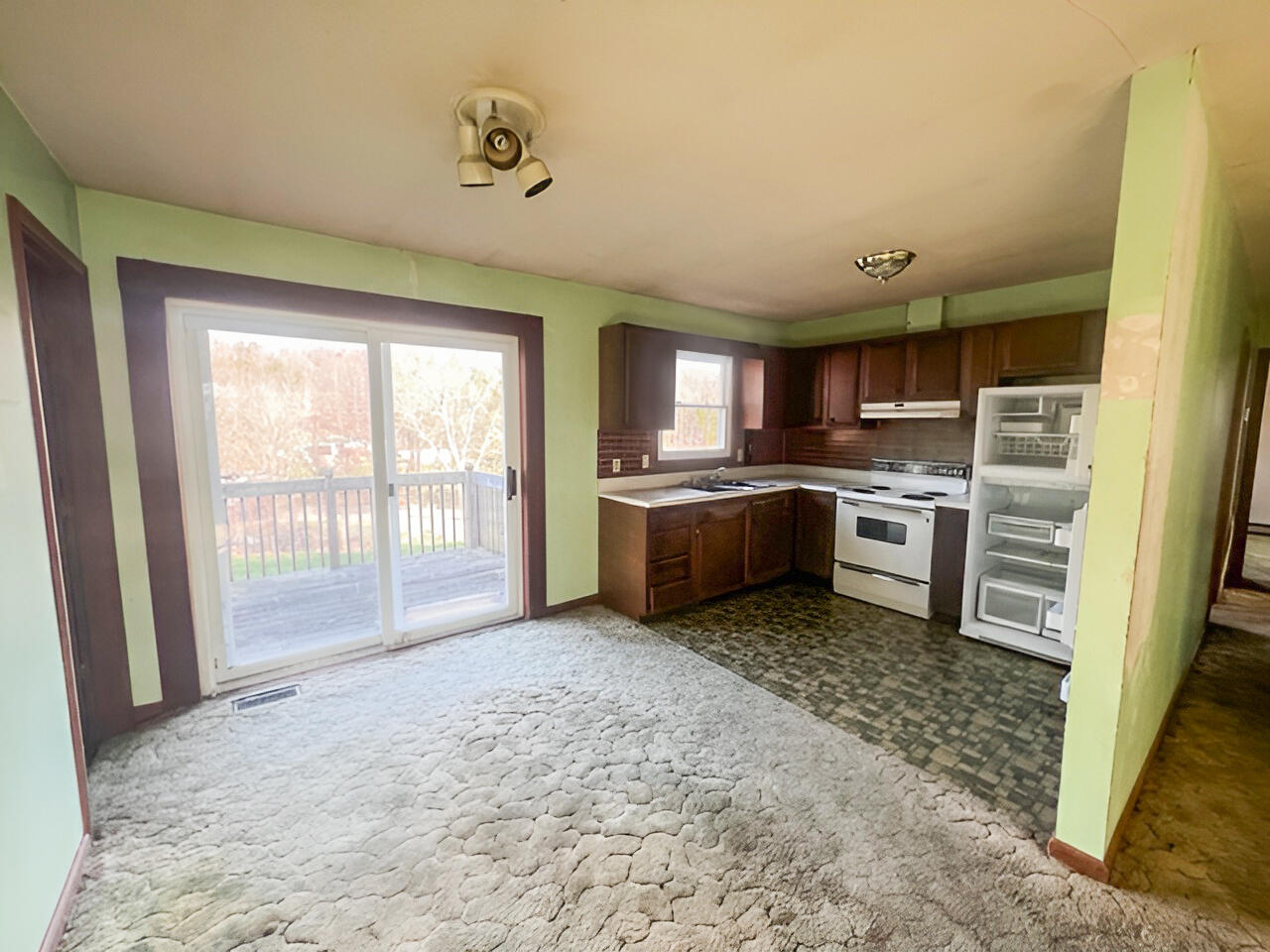 425 McCarty Hollow Road Telford, TN 37690 - Photo 10 of 25 IMG_6859