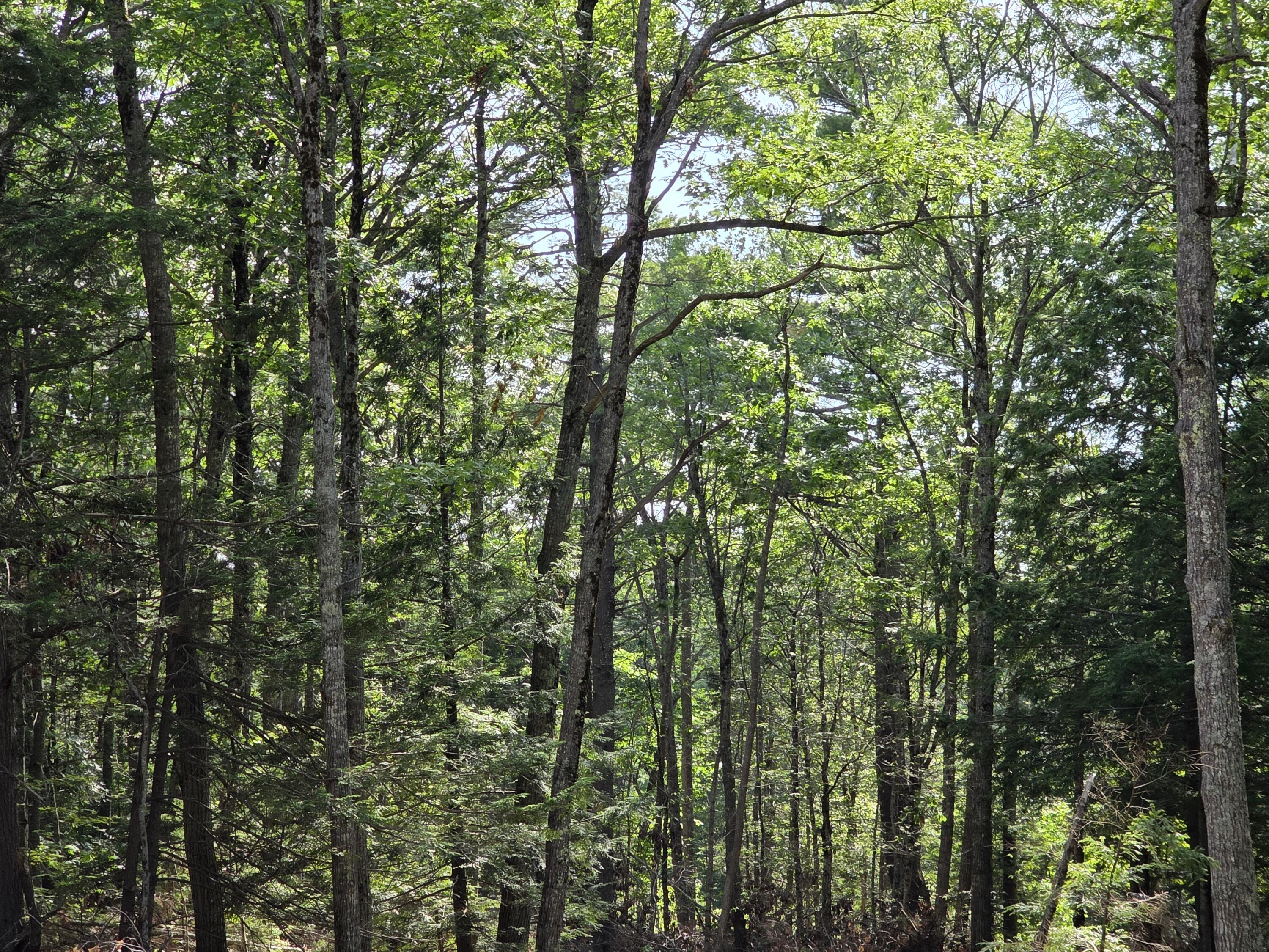 0 Pinnacle Road Liberty, ME 04949 - Photo 3 of 12