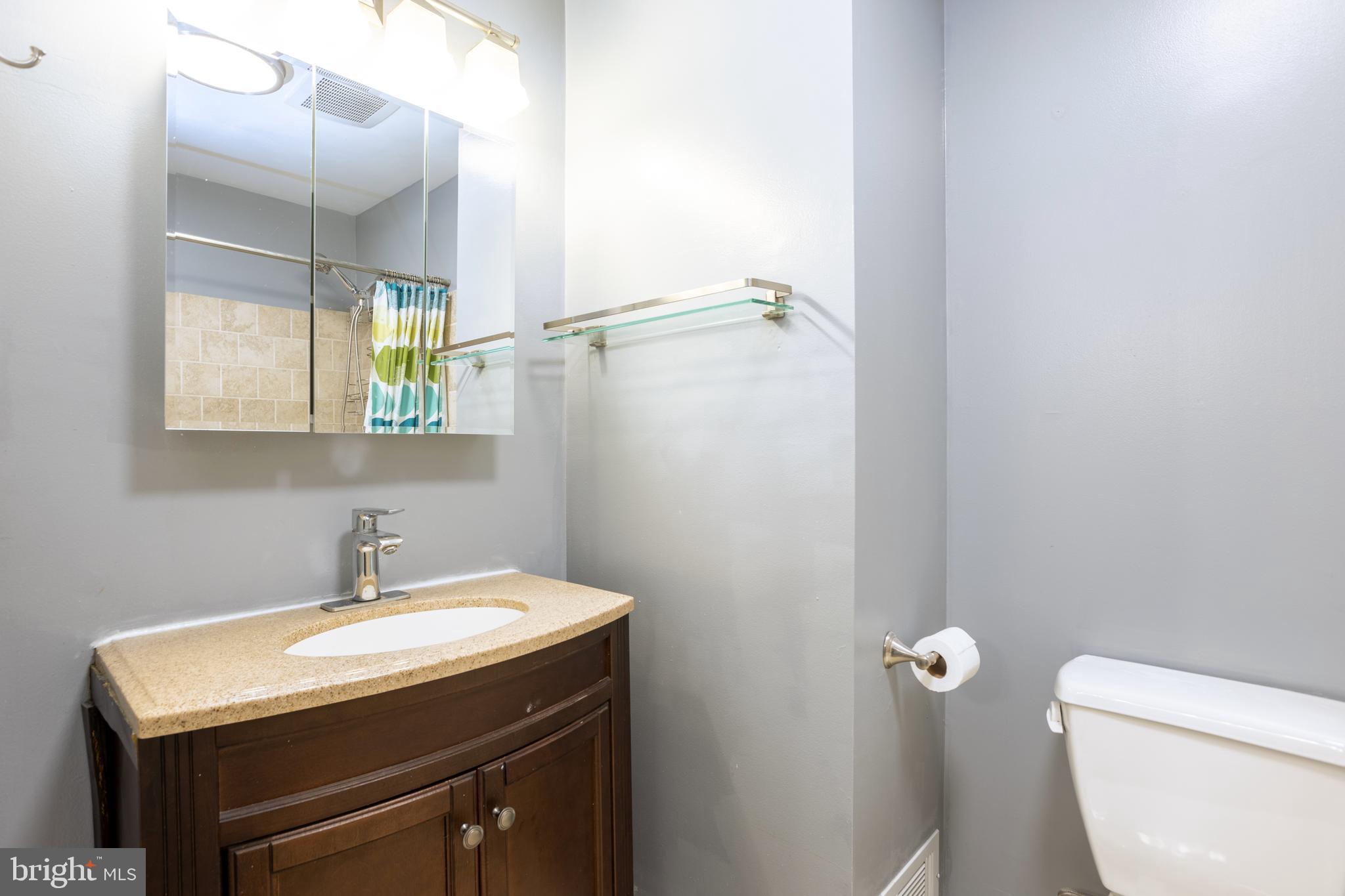 2835 Baneberry Court Baltimore, MD 21209 - Photo 20 of 42 a bathroom with a sink a toilet and a mirror