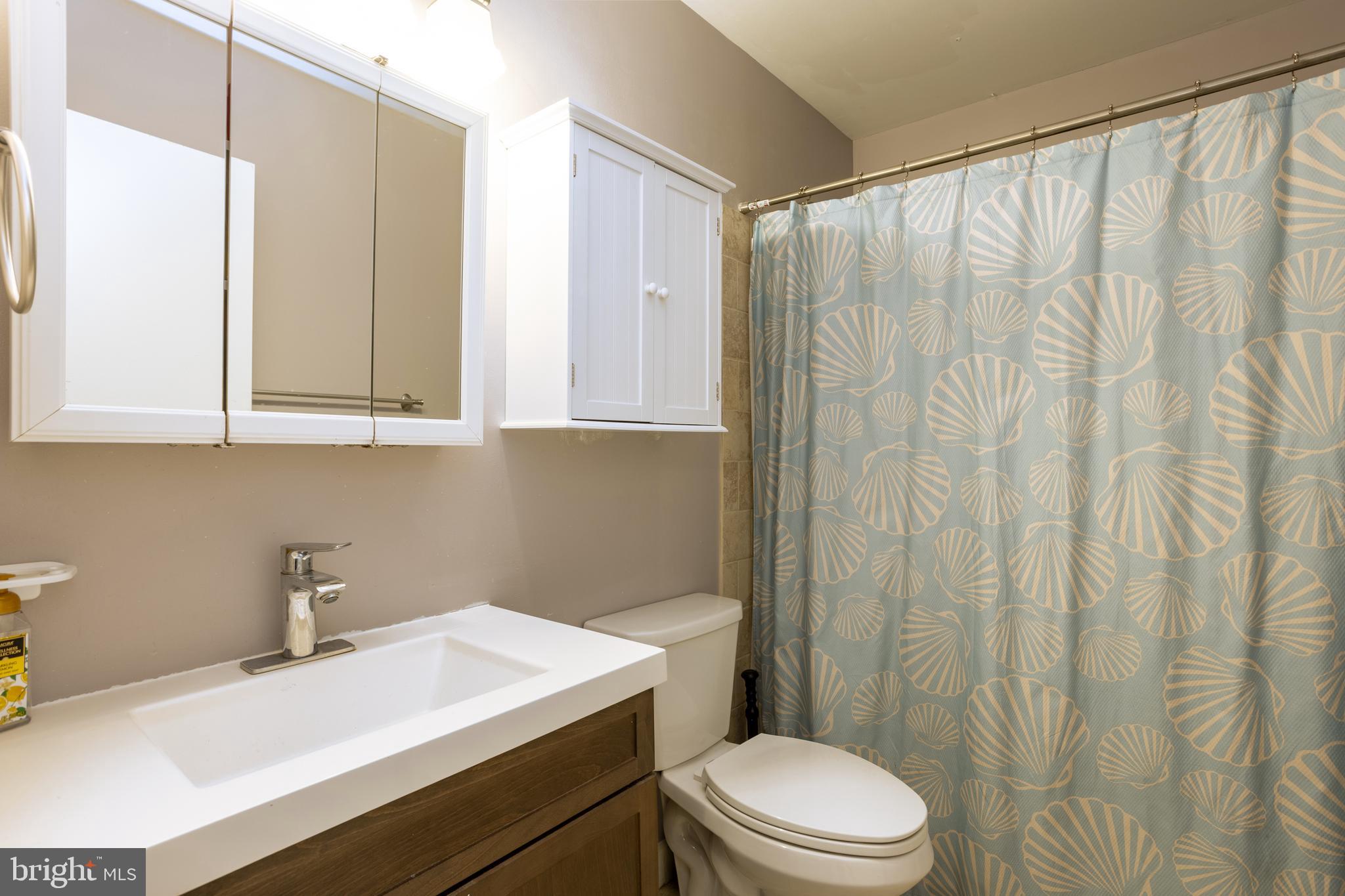 2835 Baneberry Court Baltimore, MD 21209 - Photo 24 of 42 a bathroom with a sink a toilet and shower curtain