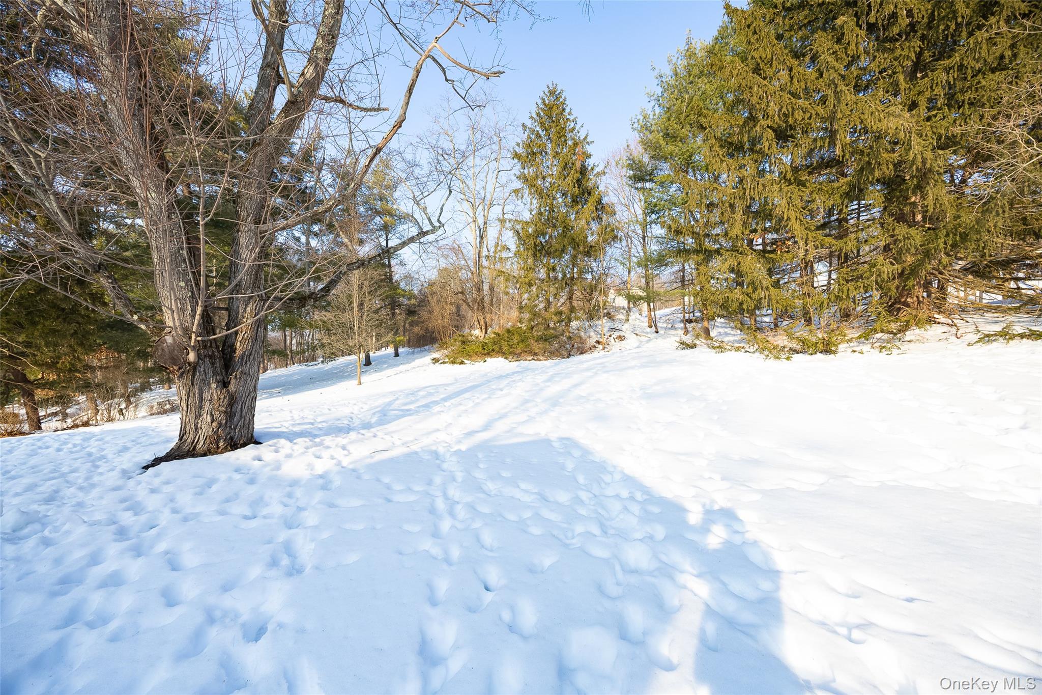 13 Robert Road Poughkeepsie, NY 12603 - Photo 24 of 24