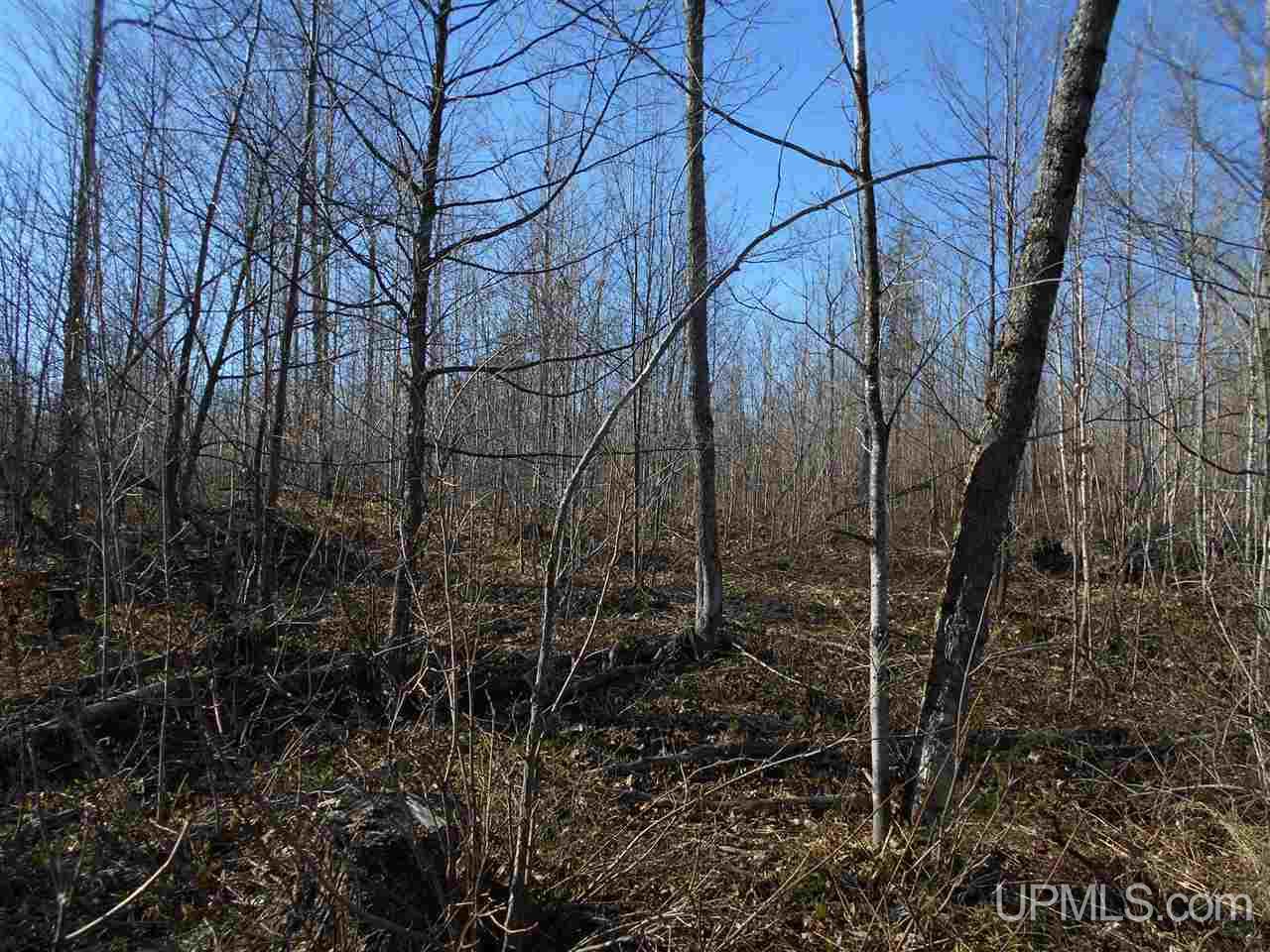 Tbd Off Heikkila Road Ironwood, MI 49938 - Photo 3 of 13