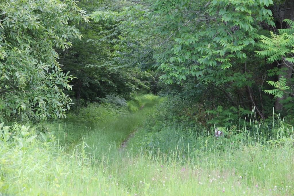 29 Pine Tree Road Litchfield, ME 04350 - Photo 5 of 10 Photo