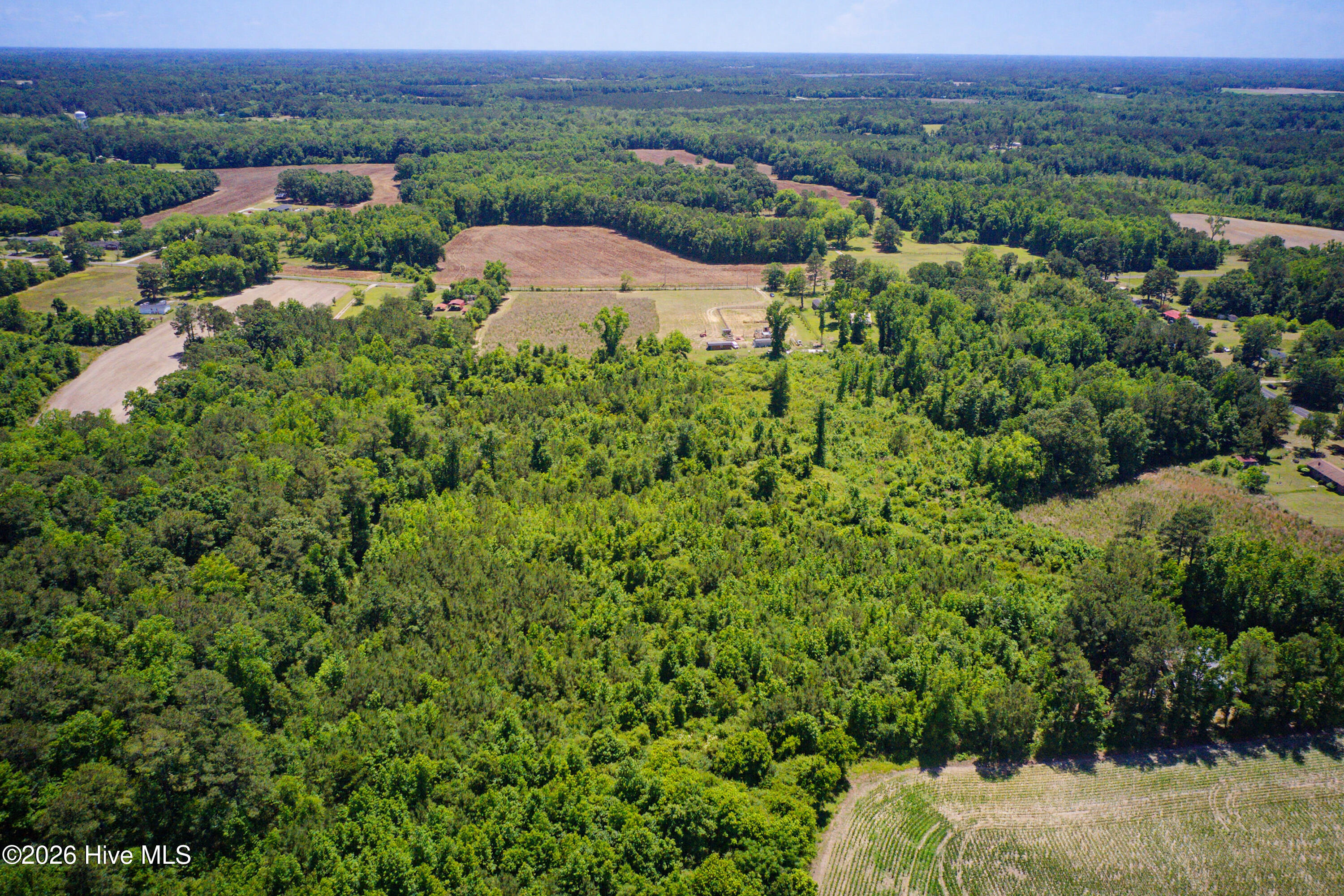 6615 Silver Spoon Road Clarkton, NC 28433 - Photo 11 of 53 MLS_Ready (5 of 40)
