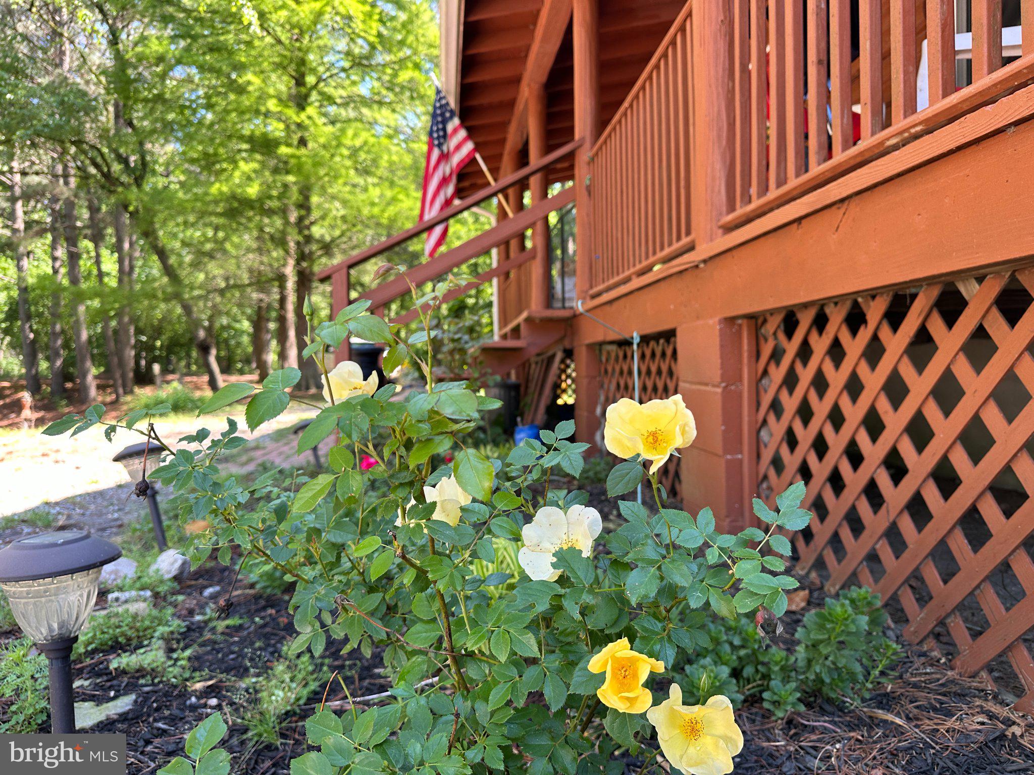 28407 Old Eden Road Eden, MD 21822 - Photo 36 of 48
