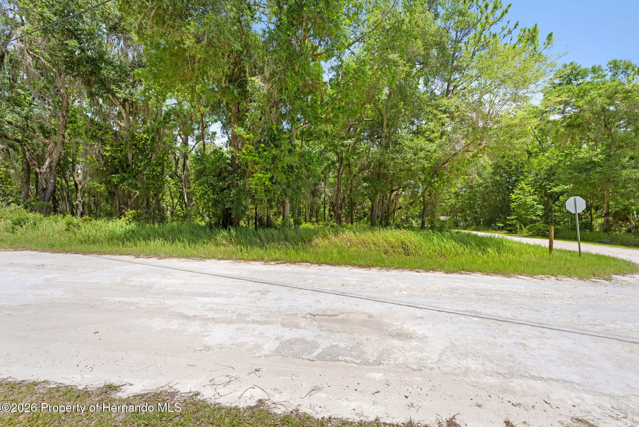 0 Ricebird Avenue Weeki Wachee, FL 34614 - Photo 16 of 26