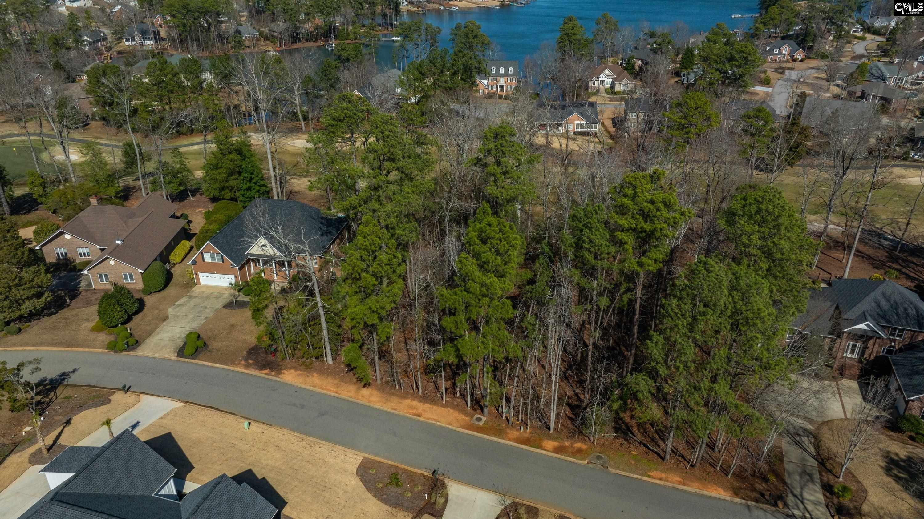329 Oxenbridge Way Chapin, SC 29036 - Photo 6 of 29