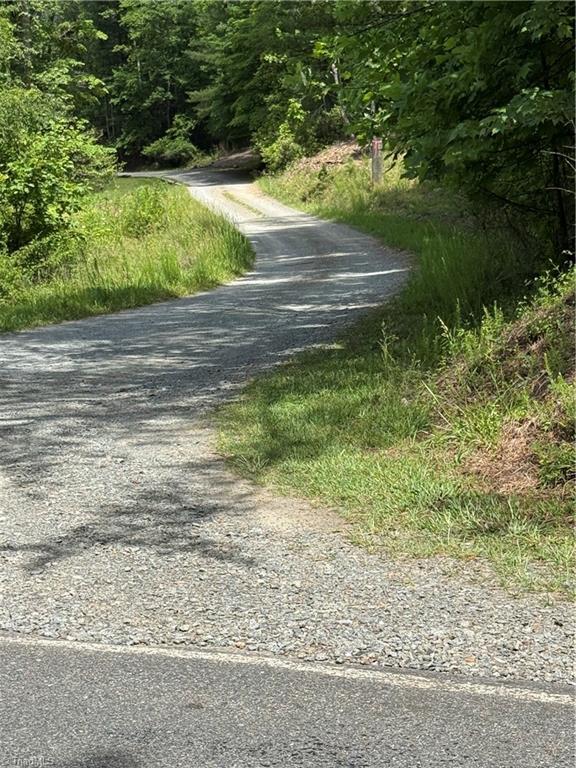 0 Old Lowgap Road Lowgap, NC 27024 - Photo 12 of 13