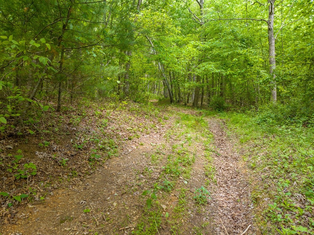 Tbd Apache Road, Unit 2 Woodlawn, VA 24381 - Photo 16 of 48 Gallery Image 16
