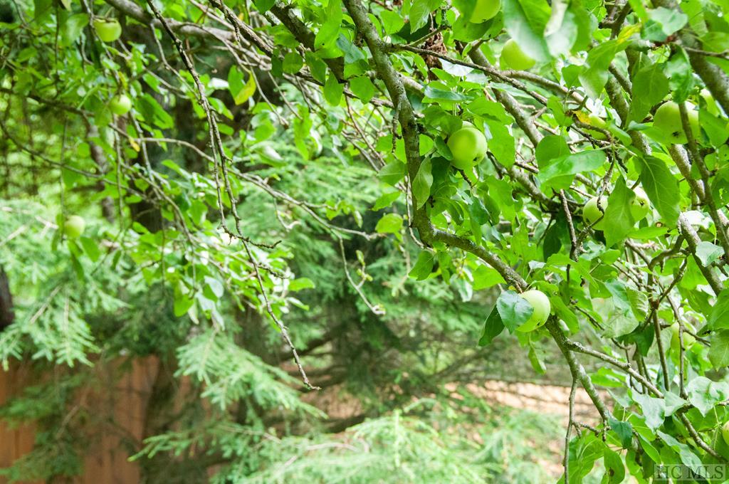 278 Upper Lake Road Highlands, NC 28741 - Photo 25 of 36 Gallery Image 25