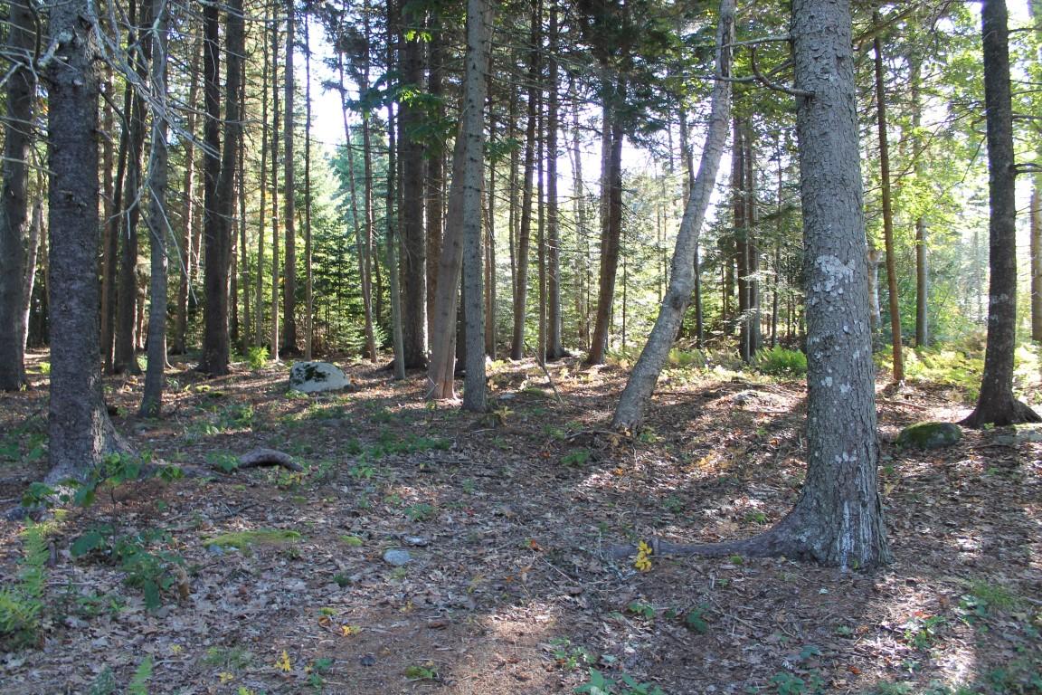 2 Ocean View Place Boothbay, ME 04544 - Photo 19 of 24 .78 Acre Lot with Privacy