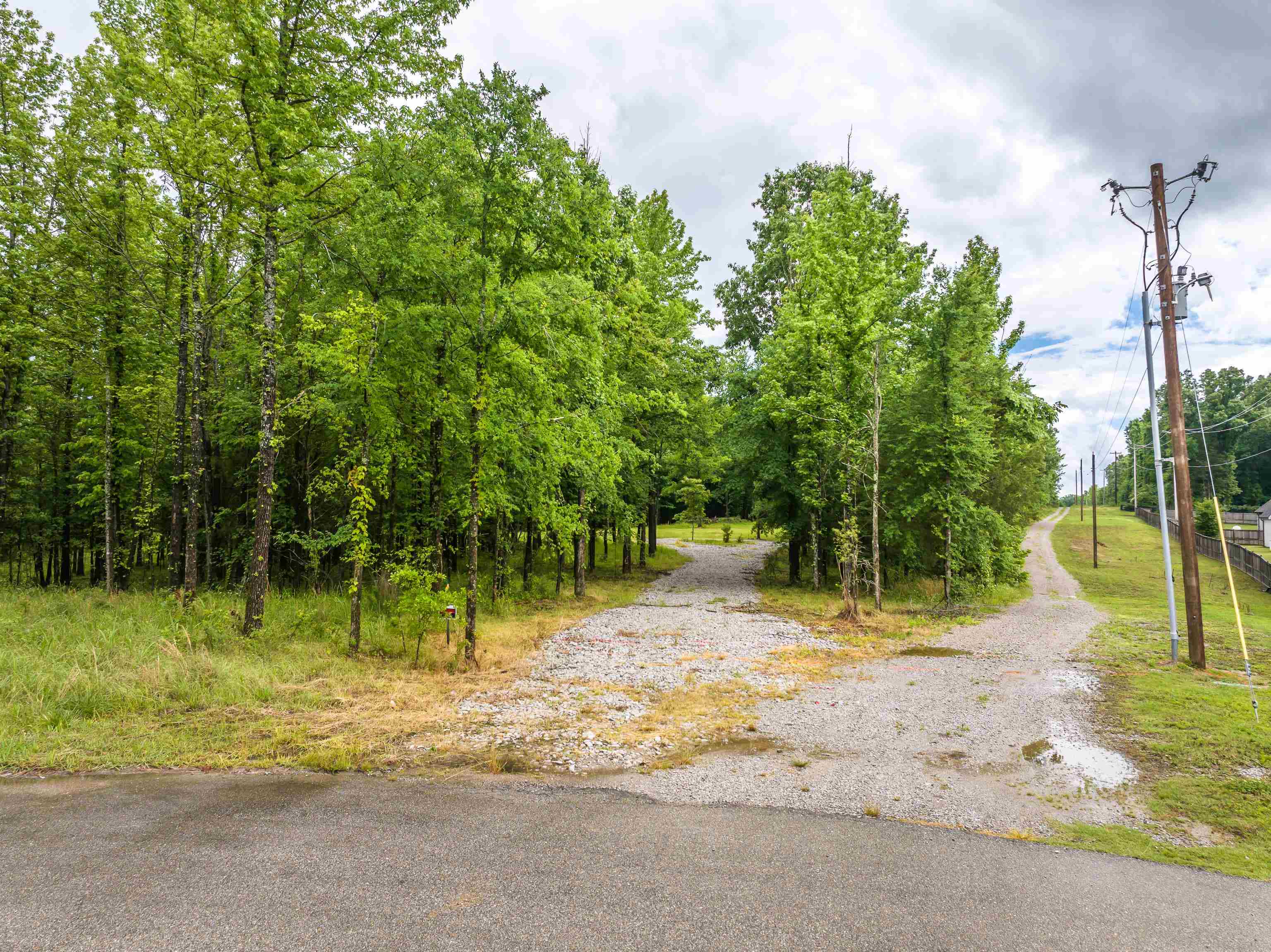 12800 Mags Lane Collierville, TN 38017 - Photo 15 of 16
