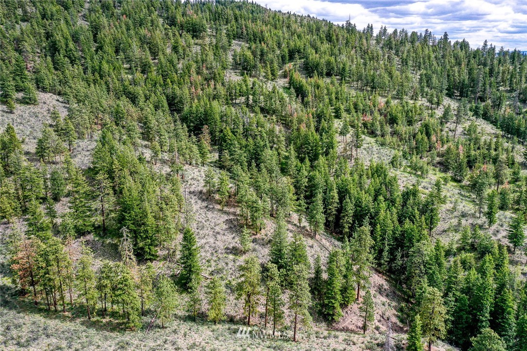 0 Cooper Gulch Road Chelan, WA 98816 - Photo 2 of 4 Gallery Image 2