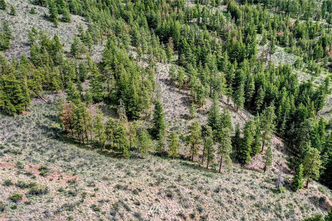 0 Cooper Gulch Road Chelan, WA 98816 - Photo 4 of 4 Gallery Image 4