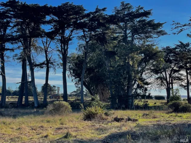 a view of a lake with houses