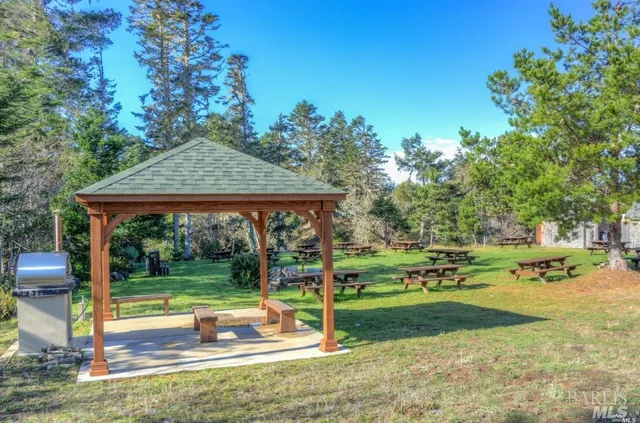 a view of a park with tree s