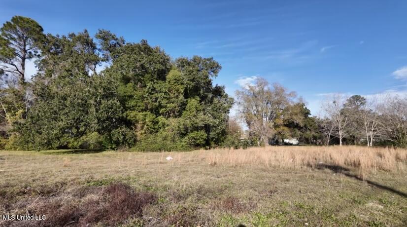 4816 28th Street Gulfport, MS 39501 - Photo 4 of 6 IMG_0932