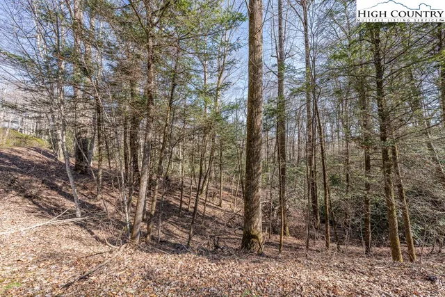 $150,000 | Trail Trail, Blowing Rock, NC 28605