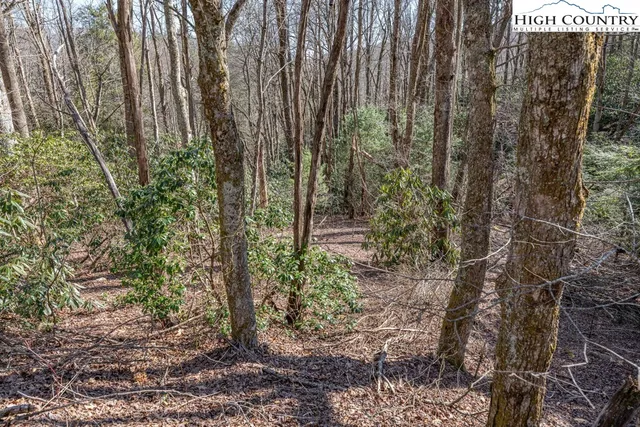 $150,000 | Trail Trail, Blowing Rock, NC 28605