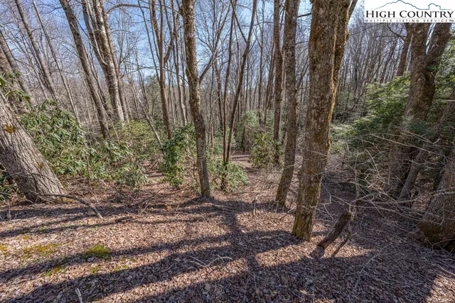 $150,000 | Trail Trail, Blowing Rock, NC 28605