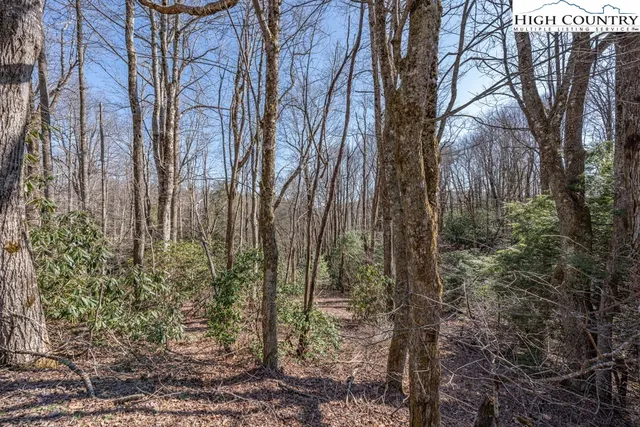 $150,000 | Trail Trail, Blowing Rock, NC 28605