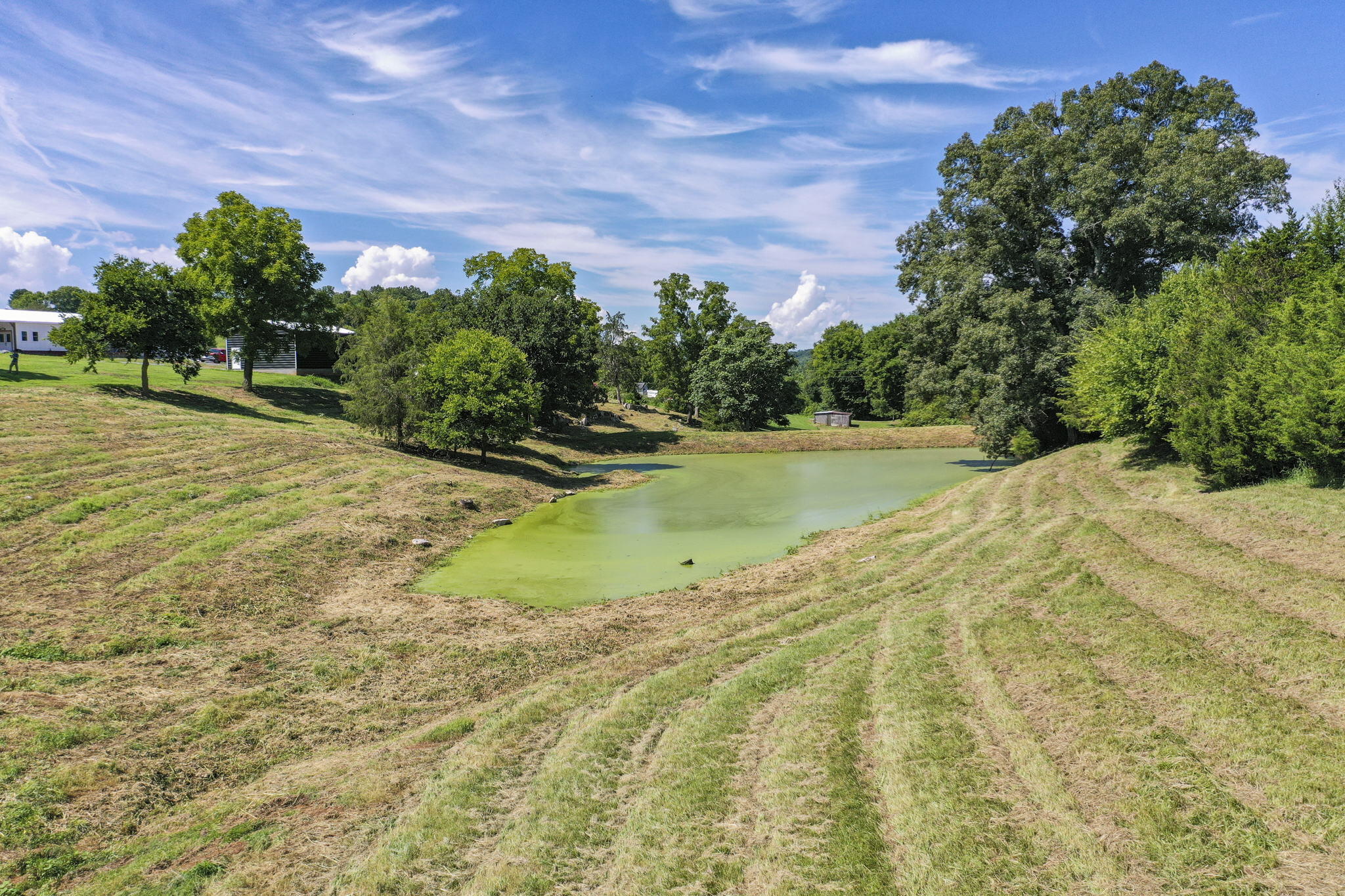 Tbd Bright Hope Road, Unit P/O Greeneville, TN 37743 - Photo 13 of 20 13-web-or-mls-JH-Fri 20220805-183