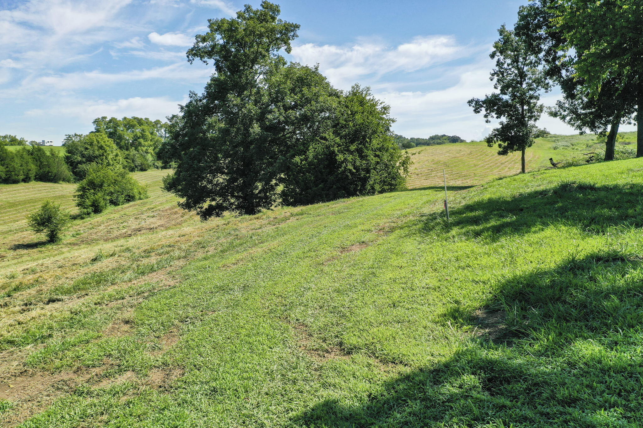 Tbd Bright Hope Road, Unit P/O Greeneville, TN 37743 - Photo 14 of 20 14-web-or-mls-JH-Fri 20220805-185