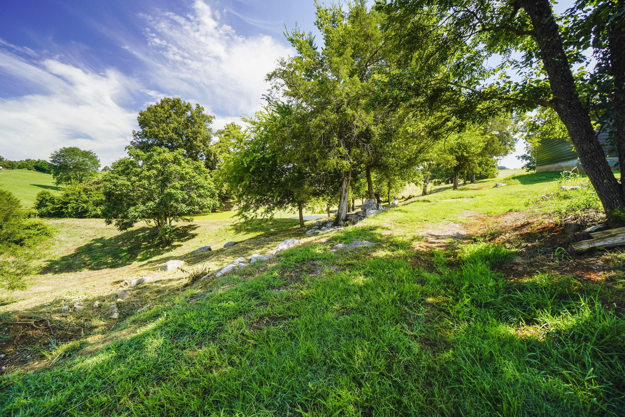 Tbd Bright Hope Road, Unit P/O Greeneville, TN 37743 - Photo 5 of 20 4-web-or-mls-JH-Fri 20220805-107