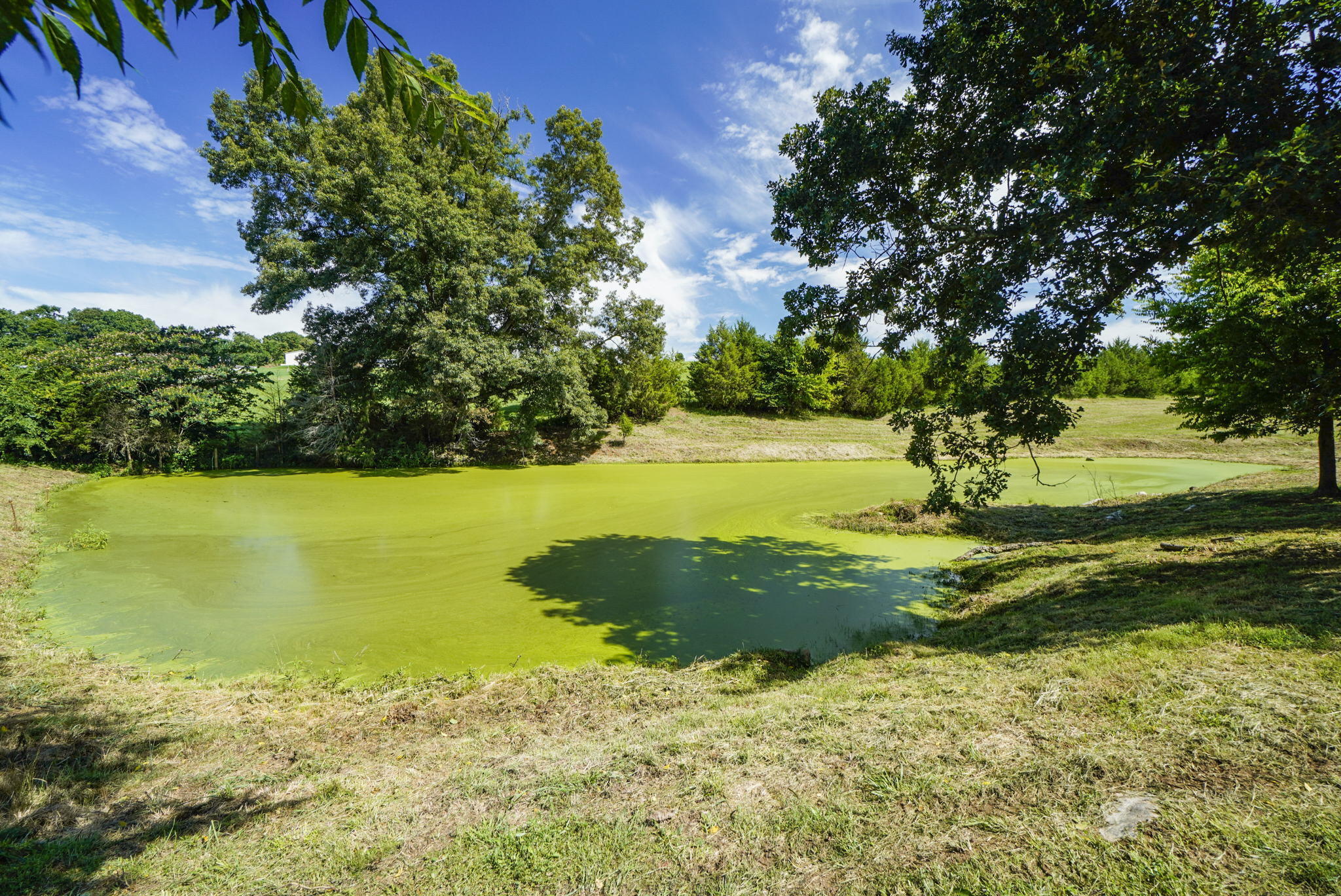Tbd Bright Hope Road, Unit P/O Greeneville, TN 37743 - Photo 6 of 20 5-web-or-mls-JH-Fri 20220805-110