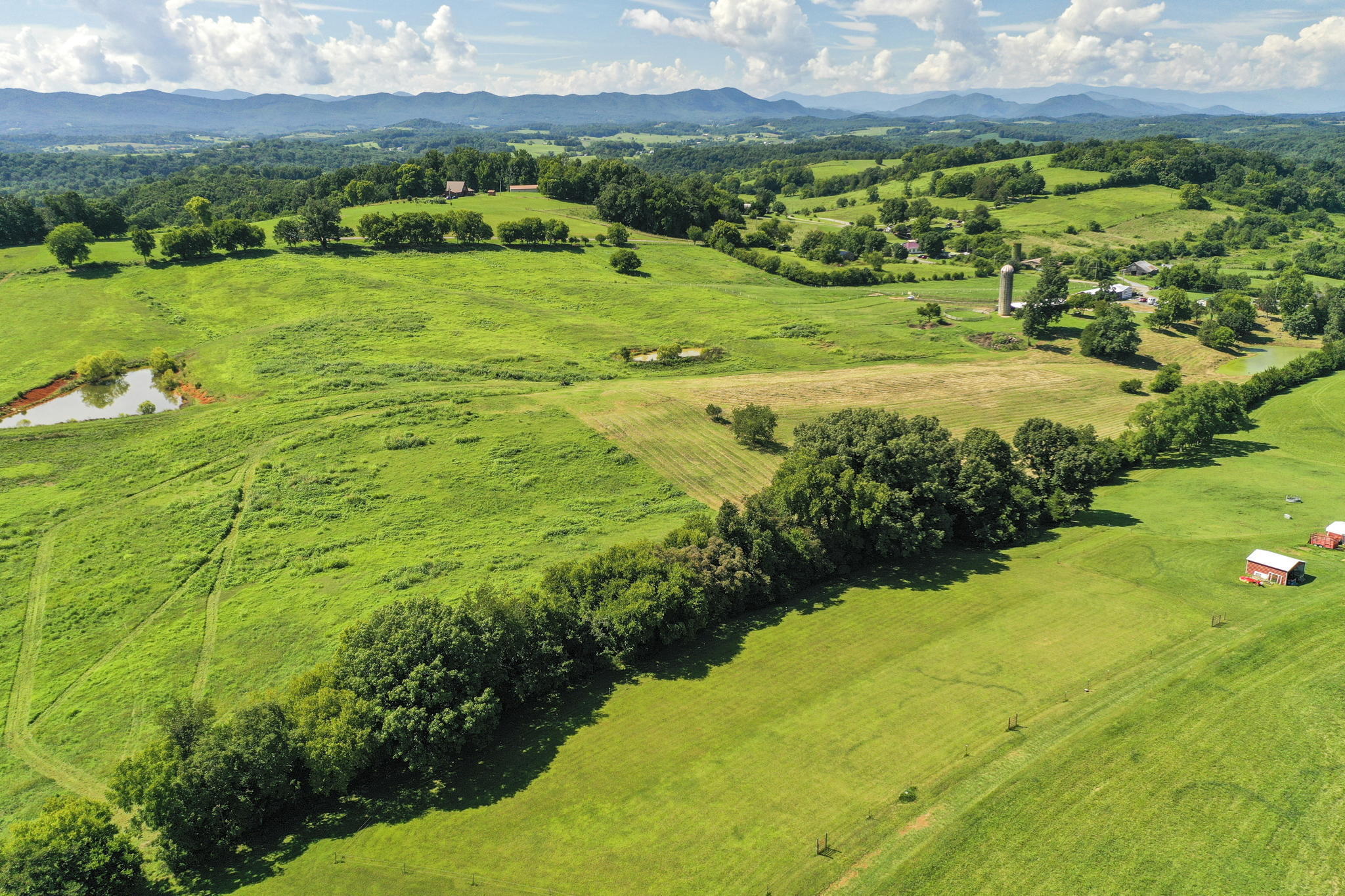 Tbd Bright Hope Road, Unit P/O Greeneville, TN 37743 - Photo 10 of 20 10-web-or-mls-JH-Fri 20220805-149