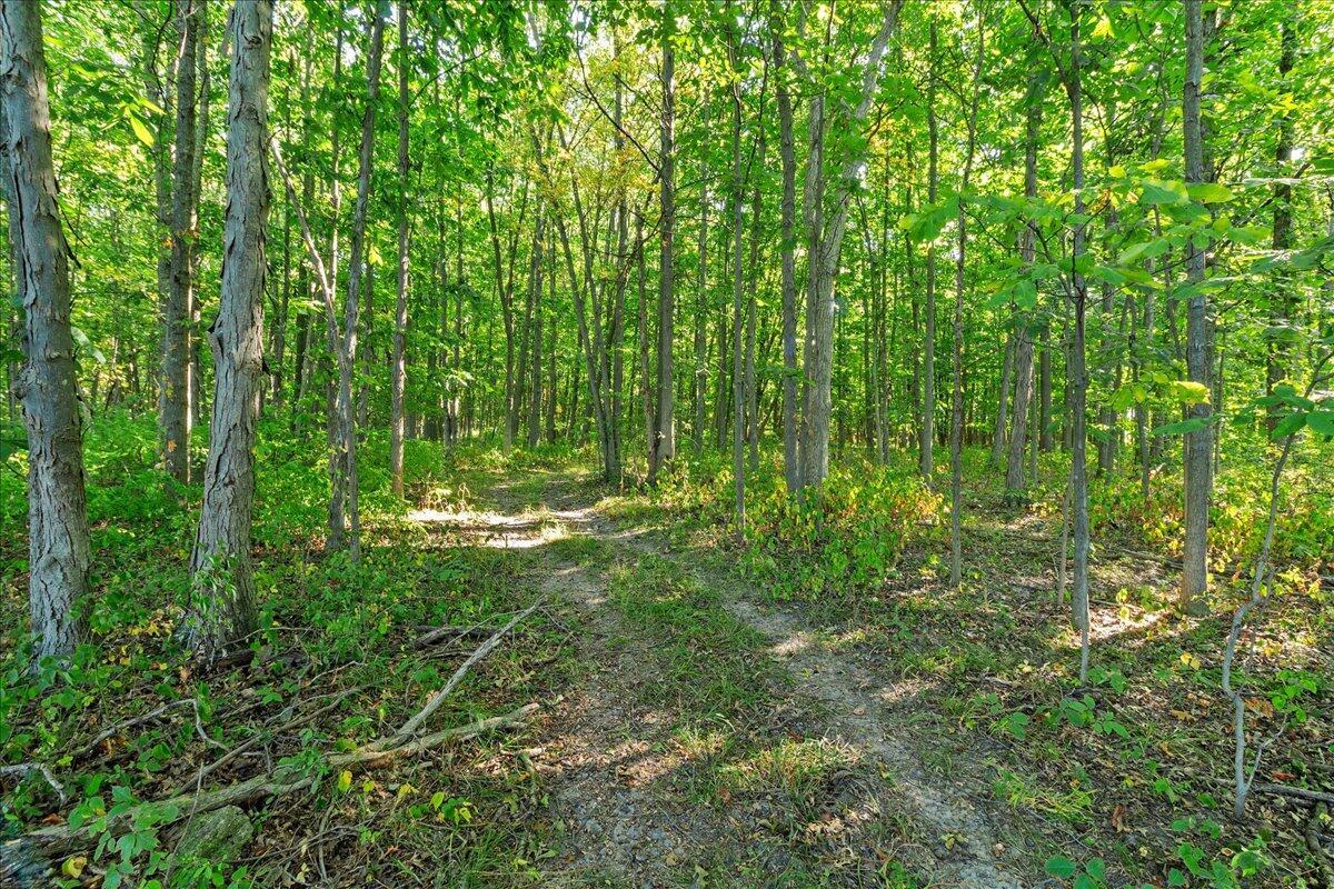 19250 Powder Lick Road Raymond, OH 43067 - Photo 35 of 52 35-IMG_1134