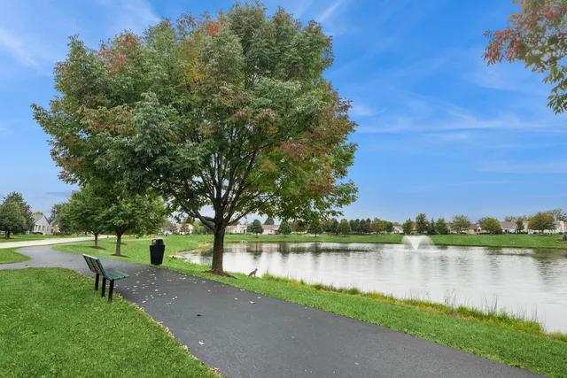 a view of a lake with a yard and a large tree